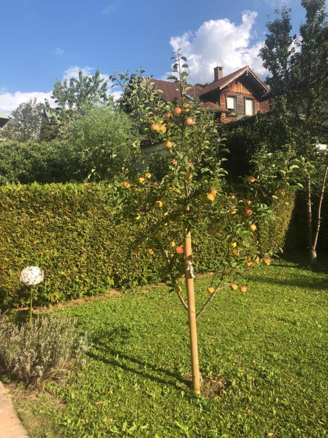 Auszeit Im Allgaeu Sonthofen Eksteriør billede