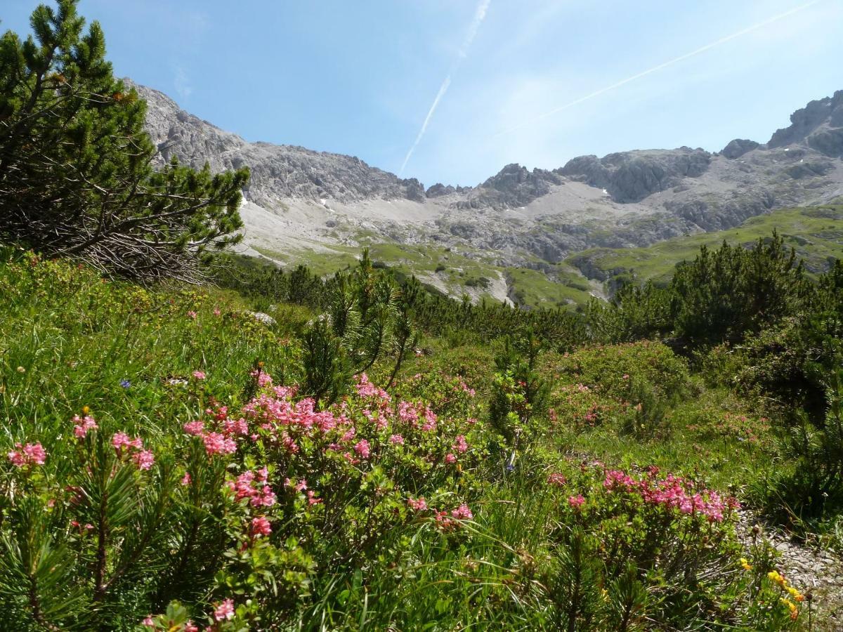 Auszeit Im Allgau Sonthofen Eksteriør billede